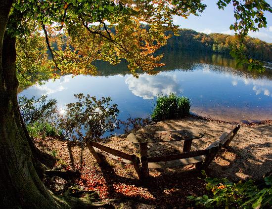 Herbst im Schlaubetal von Patrick Pleul