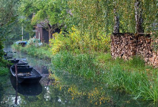 Herbst im Spreewald von Patrick Pleul