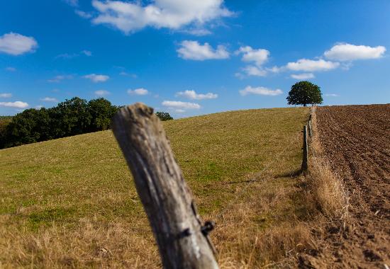 Herbstliche Landschaft der Uckermark von Patrick Pleul