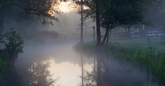 Herbststimmung im Spreewald von Patrick Pleul