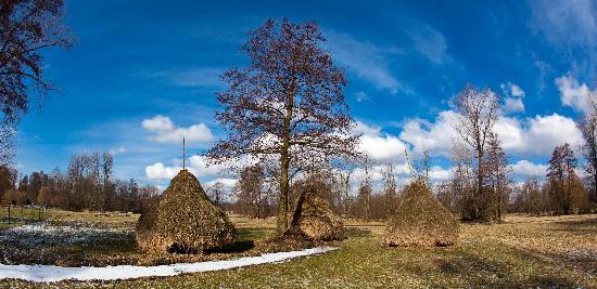 Heuschober im Spreewald von Patrick Pleul