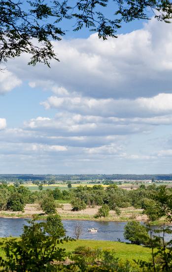 Landschaft an der Oder von Patrick Pleul
