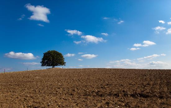 Landschaft der Uckermark von Patrick Pleul
