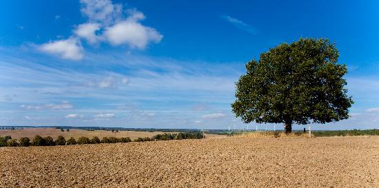 Landschaft der Uckermark von Patrick Pleul