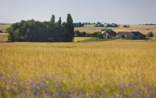 Landschaft in der Uckermark von Patrick Pleul