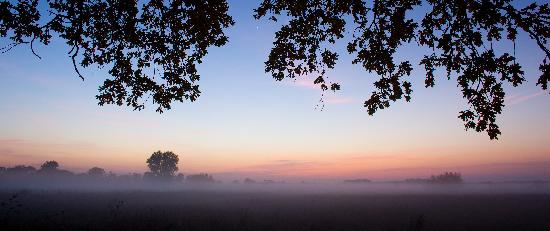 Nebelstimmung am Abend von Patrick Pleul