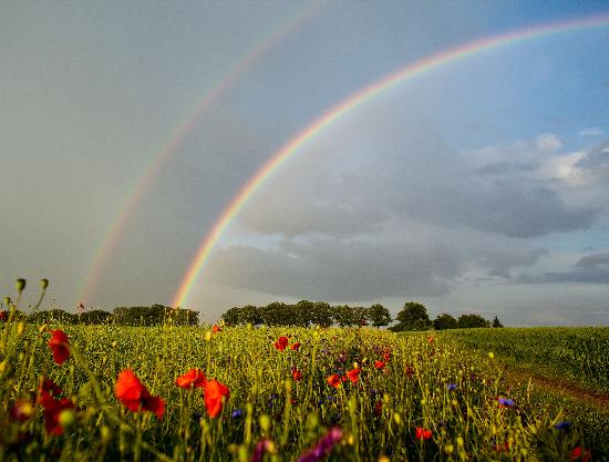 Regenbogen über Brandenburg von Patrick Pleul