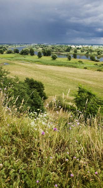 Regenwolken über dem Oderbruch von Patrick Pleul