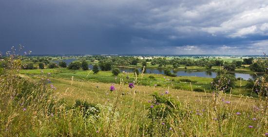Regenwolken über dem Oderbruch von Patrick Pleul