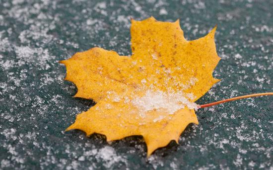 Schneeregen in Brandenburg von Patrick Pleul