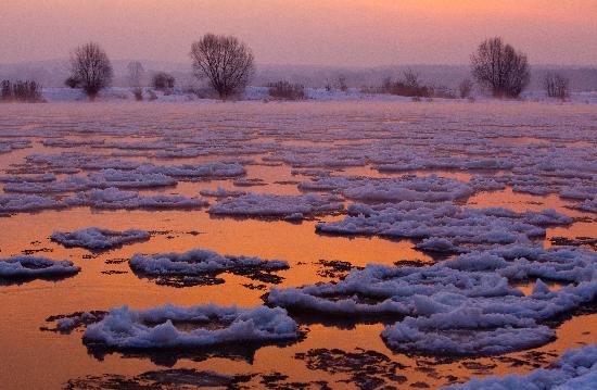 Sonnenaufgang an der Oder von Patrick Pleul