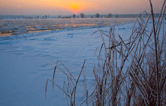 Sonnenaufgang an der Oder von Patrick Pleul