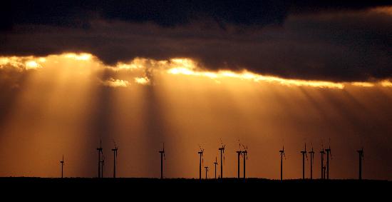 Sonnenstrahlen zum Ende des Tages von Patrick Pleul