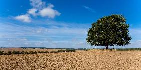 Landschaft der Uckermark
