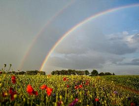 Regenbogen über Brandenburg