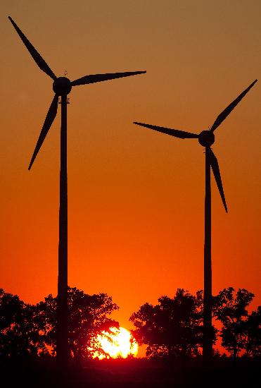 Windenergie in Brandenburg von Patrick Pleul