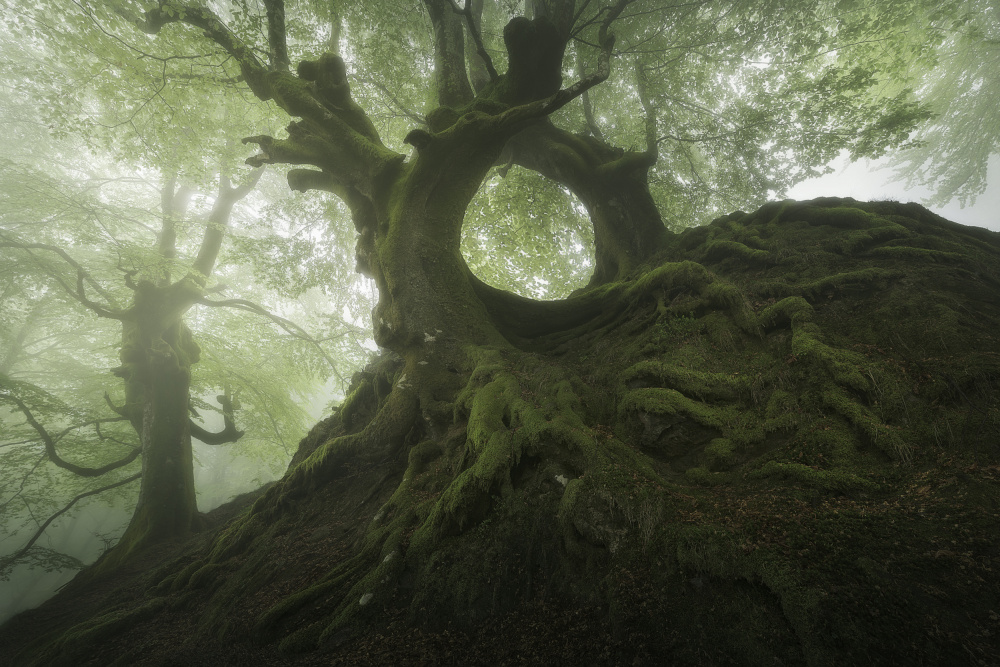 The Hole von Patxi Pérez