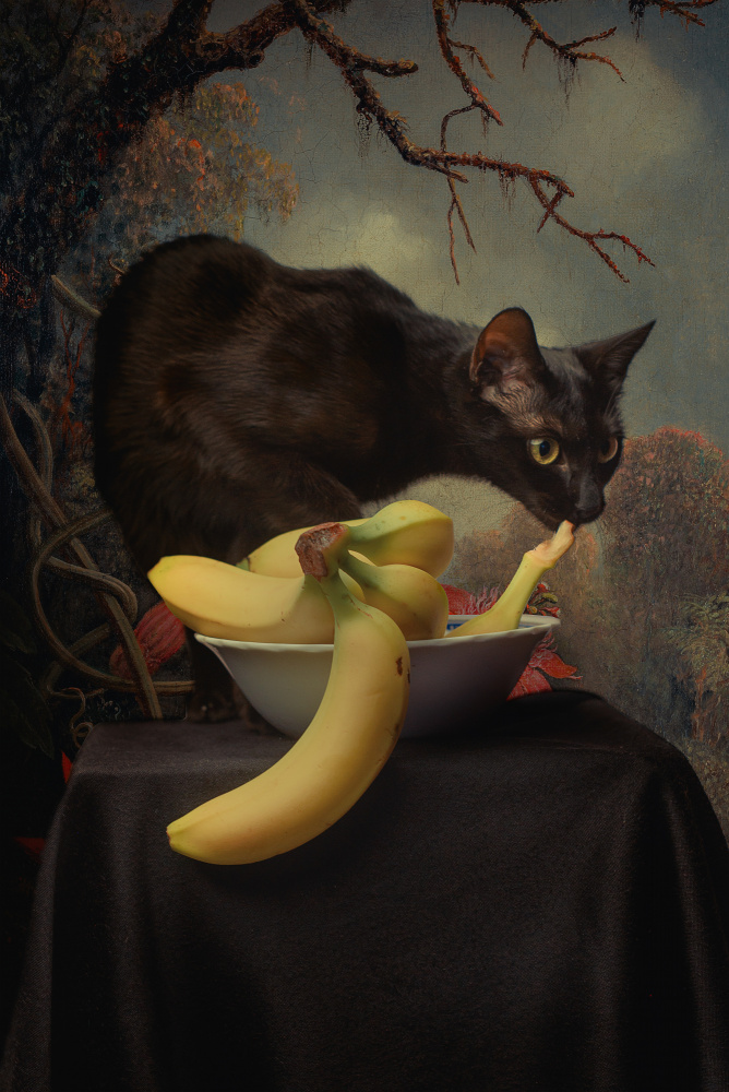 TURBIX von Paul Adrian Chis