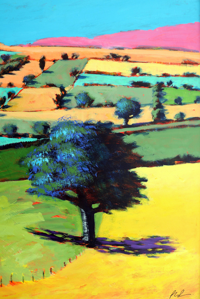 Coombe close up 1 von Paul Powis