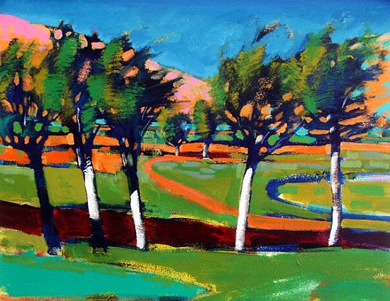 Evergreen von Paul Powis