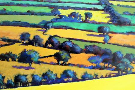 Whiteleaved oak close up 4