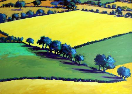 Whiteleaved oak close up