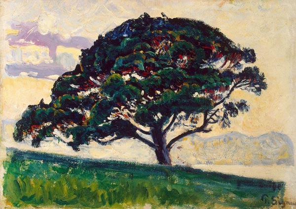 Große Pinie, Saint-Tropez von Paul Signac