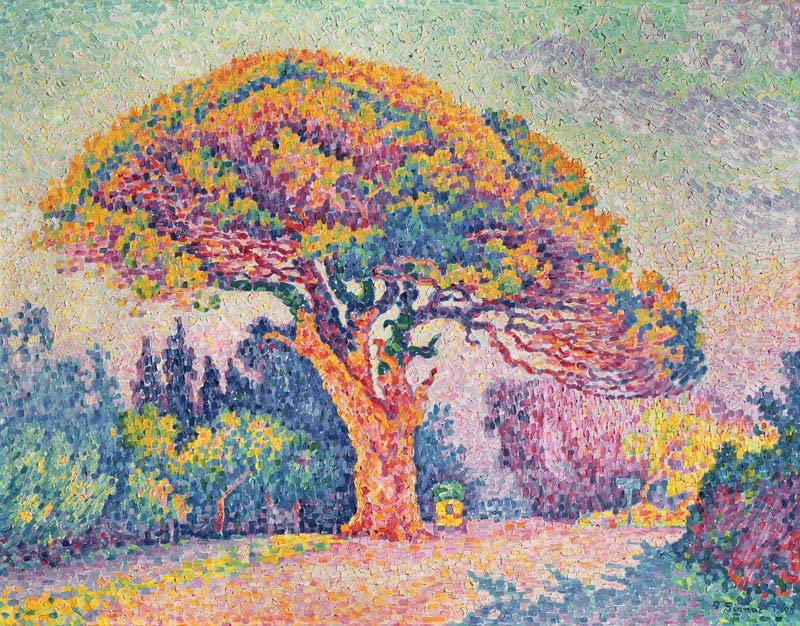 Kiefer in Saint-Tropez von Paul Signac