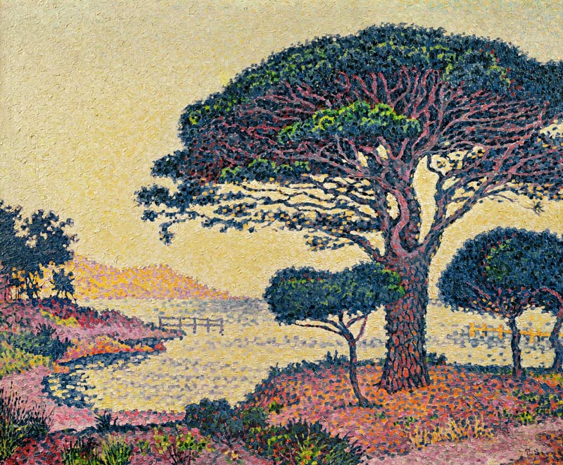 Le Pin Parasol aux Caroubiers von Paul Signac