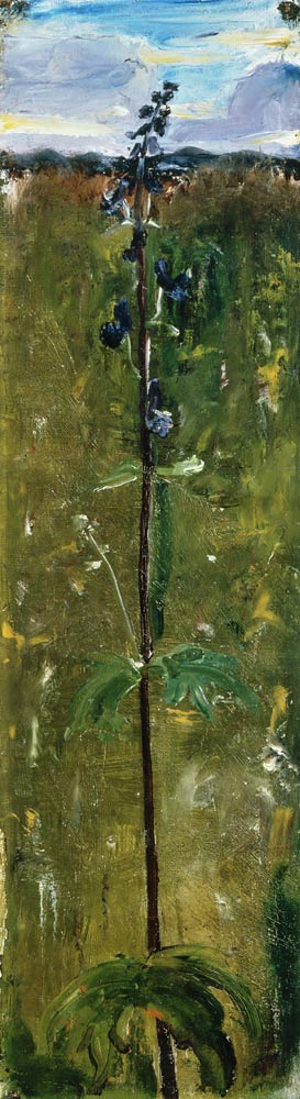 Eisenhut von Paula Modersohn-Becker