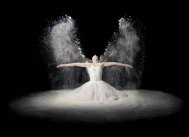 Flour Wings von Pauline Pentony BA