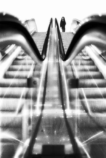 Everything Fades to White