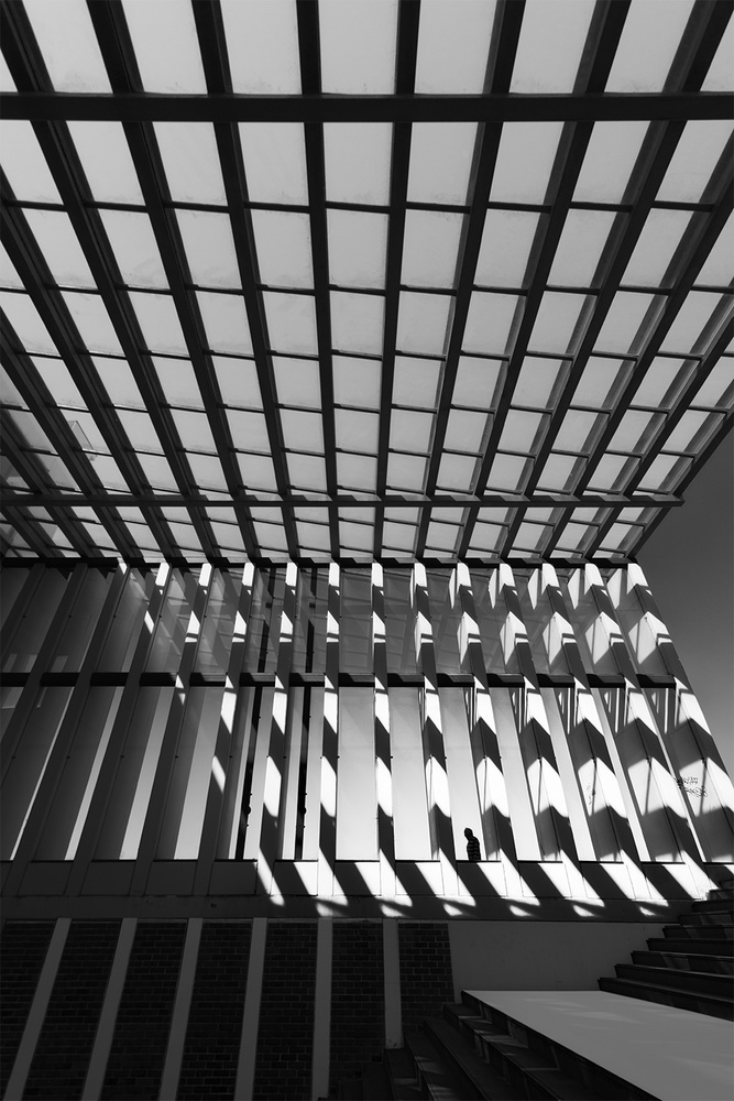 The Disappearance von Paulo Abrantes