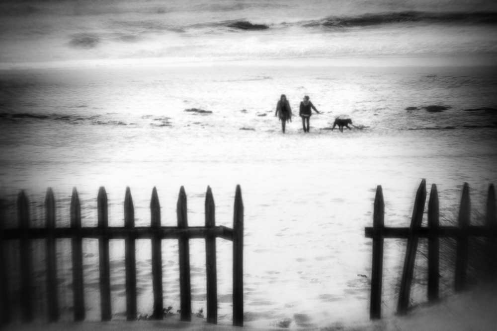 Go With The Flow von Paulo Abrantes