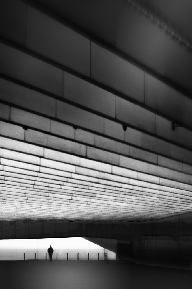 No Reflection von Paulo Abrantes