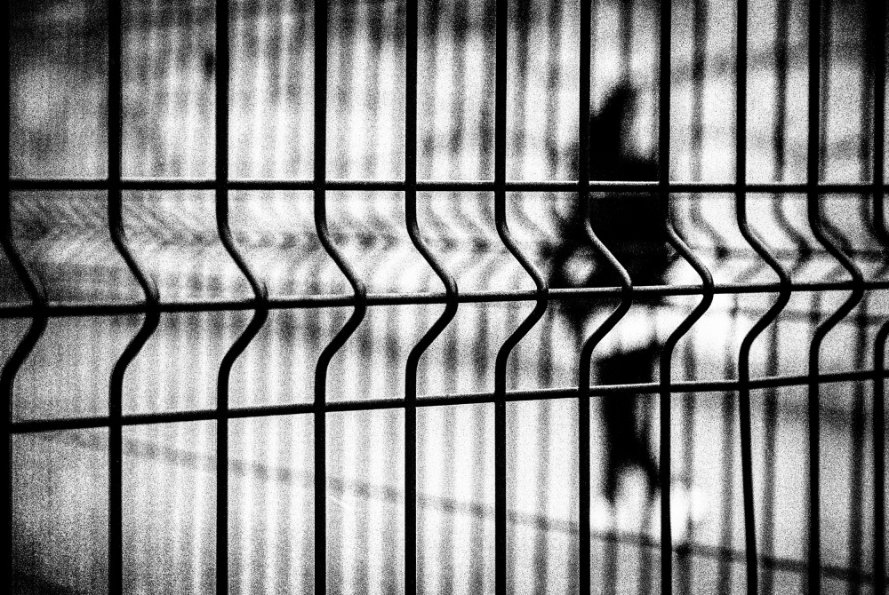 untitledl von Paulo Abrantes