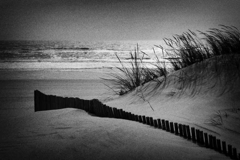 Planet Earth von Paulo Abrantes