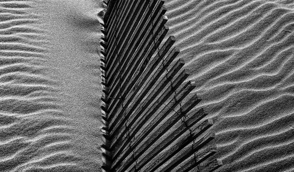 Beach House von Paulo Abrantes