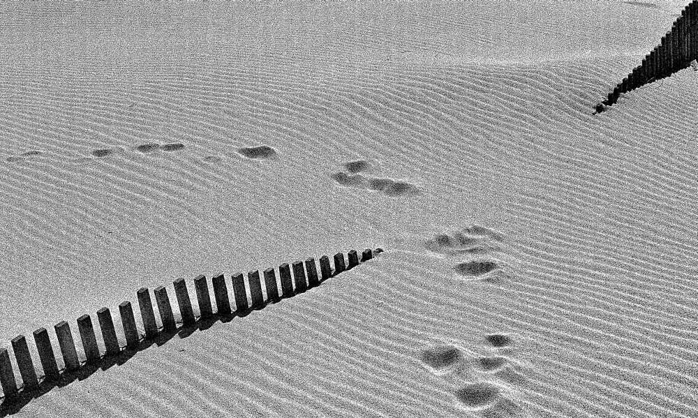 Tea in the Sahara von Paulo Abrantes