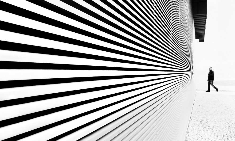Thingy Wingy von Paulo Abrantes