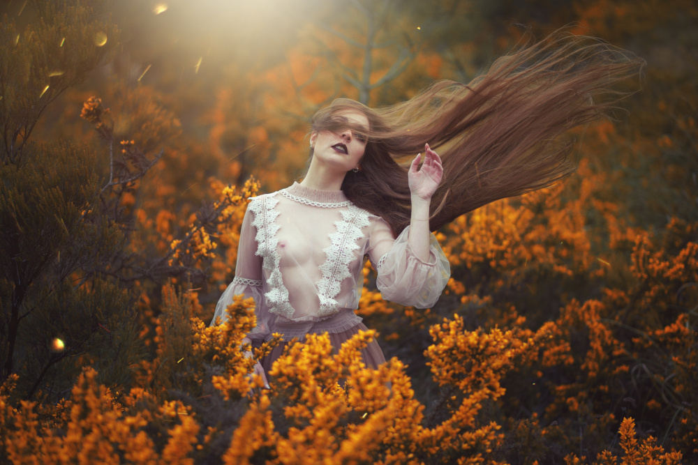 The Vortex von Paulo Dias