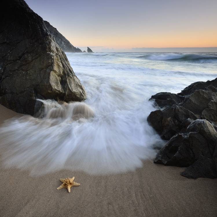 Summer Flux von Paulo Dias