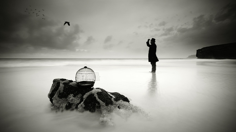 Joint the Freedom von Paulo Dias