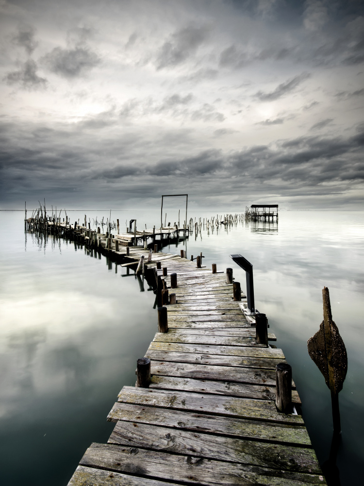 Choose your PATH von Paulo Dias