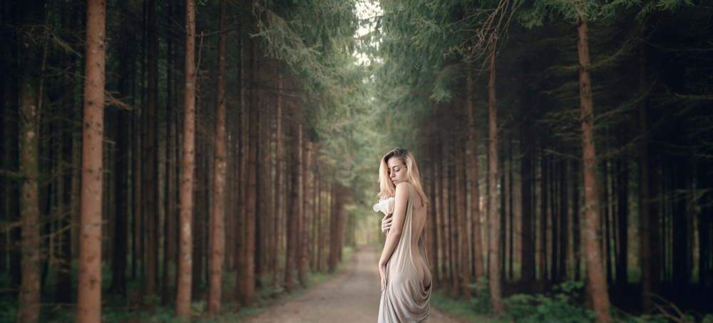 Forest von Paulo Dias