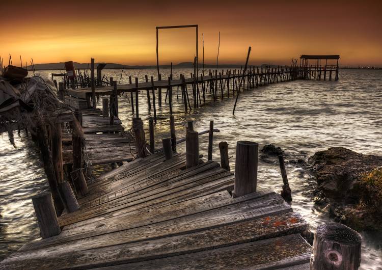 Carrasqueira von Paulo Gomes