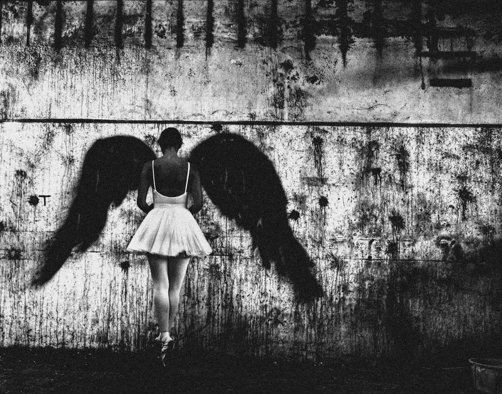 n/t von Paulo Medeiros