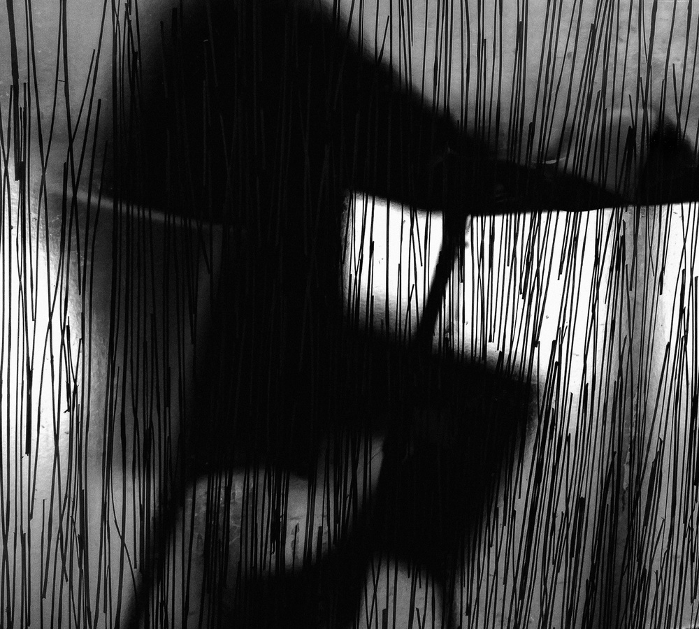 n/t von Paulo Medeiros