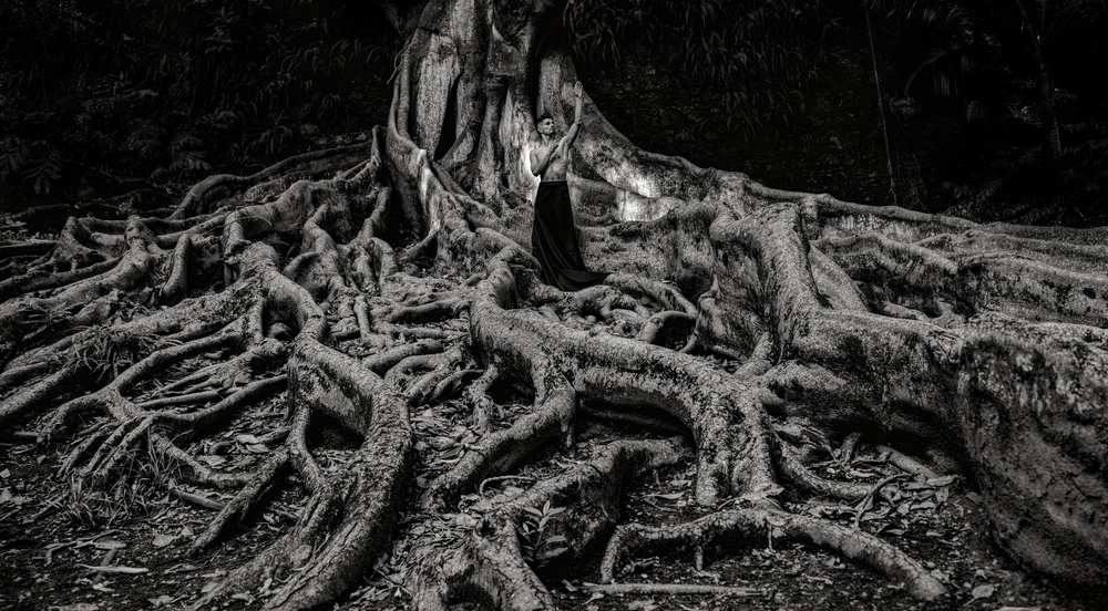 n/t von Paulo Medeiros