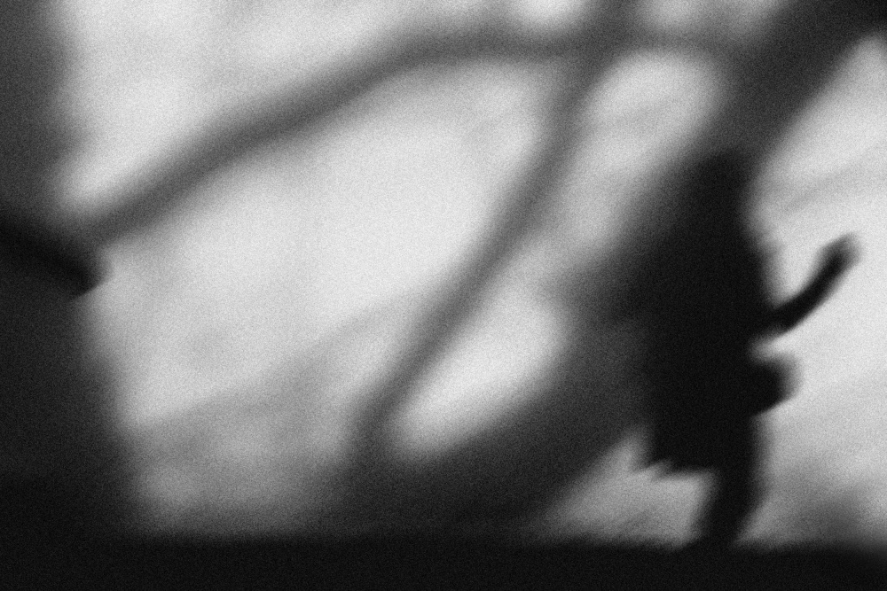 n/t von Paulo Medeiros